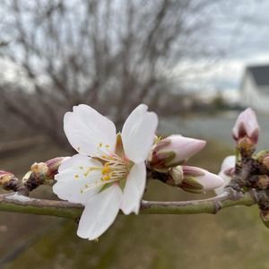 Meet your Posher, Jane